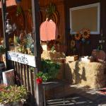 Cambria_0399 (November 01, 2013)